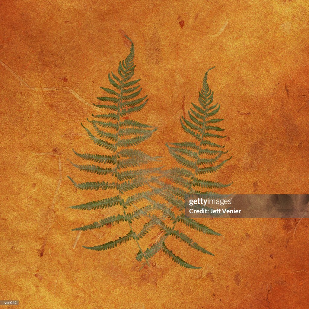 Ferns on Sienna Background