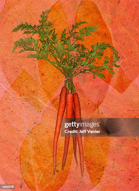 ilustraciones, imágenes clip art, dibujos animados e iconos de stock de carrots on leaf background - entorno de flora