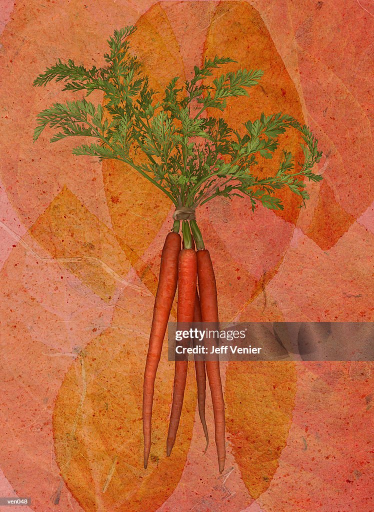 Carrots on Leaf Background