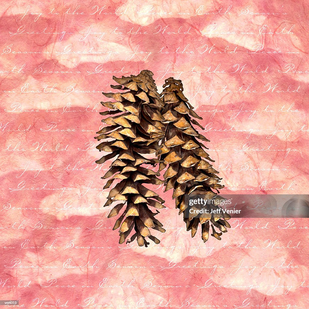 Pine Cones on Holiday Background