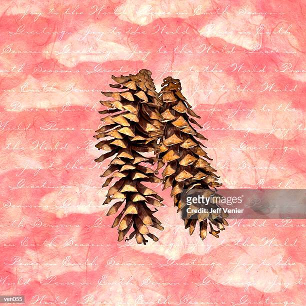 stockillustraties, clipart, cartoons en iconen met pine cones on holiday background - kegelvrucht