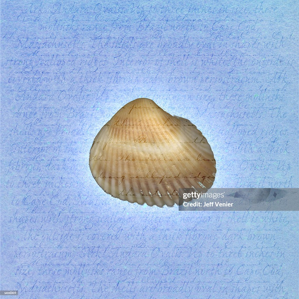 Ark Shell On Descriptive Background High-Res Vector Graphic - Getty Images