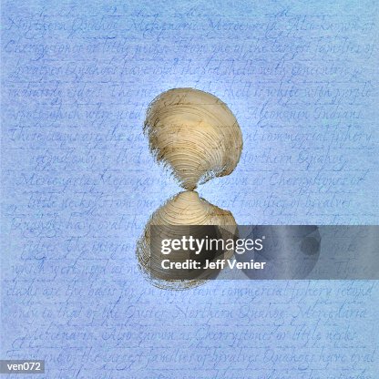 Clam Shell on Descriptive Background Clam Shell on Descriptive Background