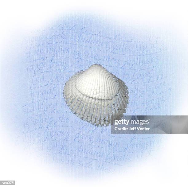 Ark Shelll Ark Shell On Wavy Descriptive Background High-Res Vector Graphic ...