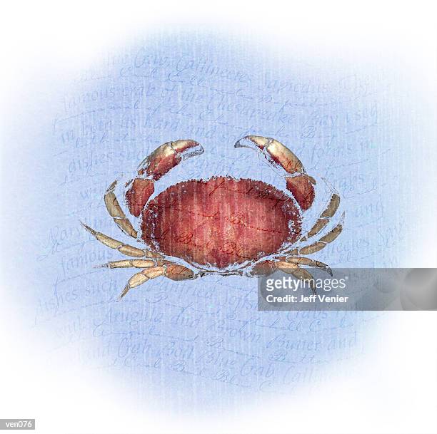 illustrations, cliparts, dessins animés et icônes de crab on wavy descriptive background - jeff