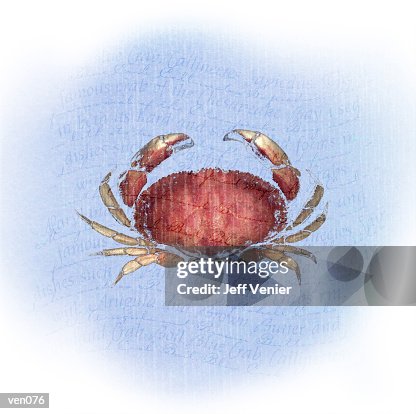 Crab on Wavy Descriptive Background Crab on Wavy Descriptive Background