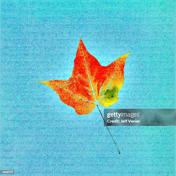 illustrations, cliparts, dessins animés et icônes de maple leaf on descriptive background - jeff