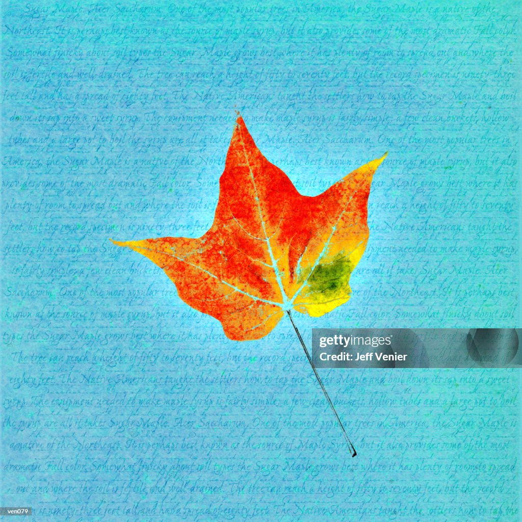 Maple Leaf on Descriptive Background