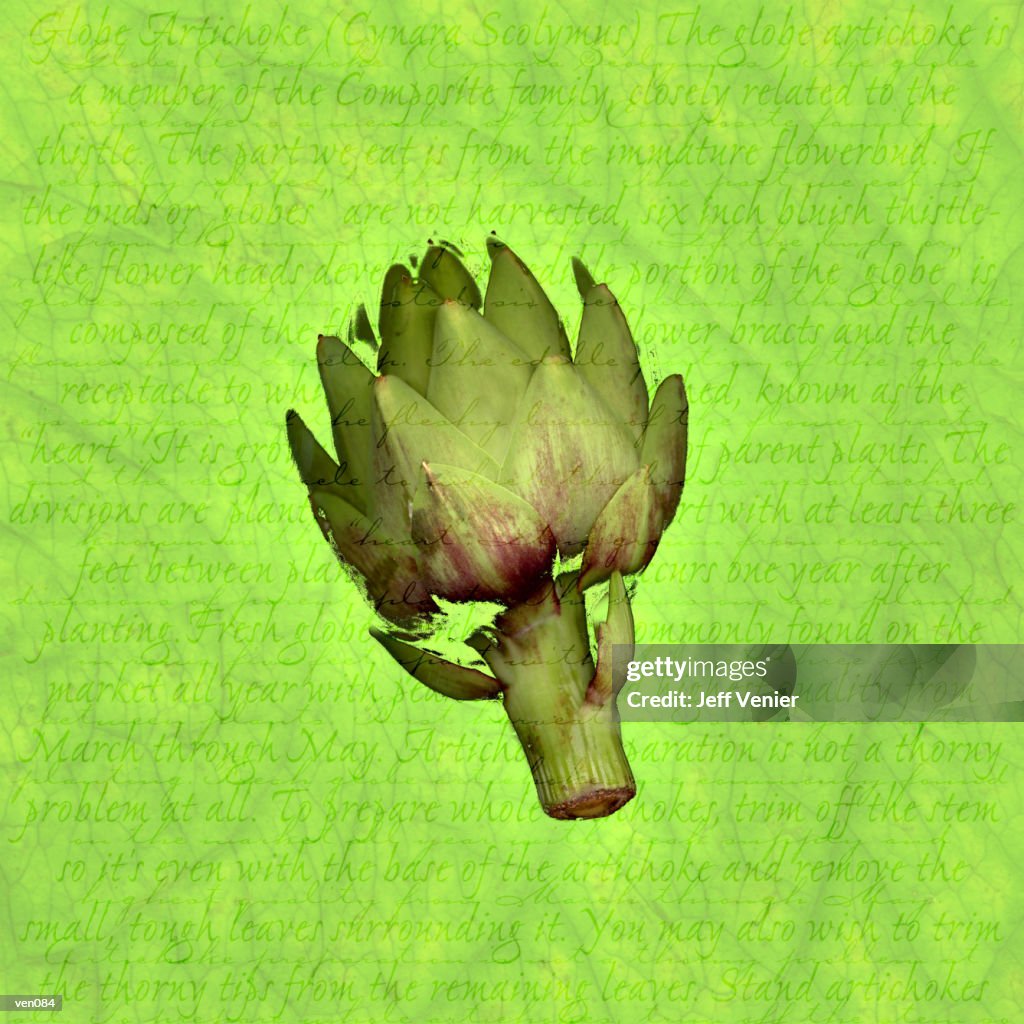 Artichoke on Descriptive Background