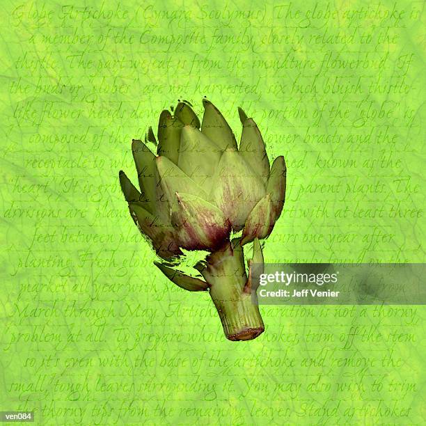 ilustraciones, imágenes clip art, dibujos animados e iconos de stock de artichoke on descriptive background - flor templada