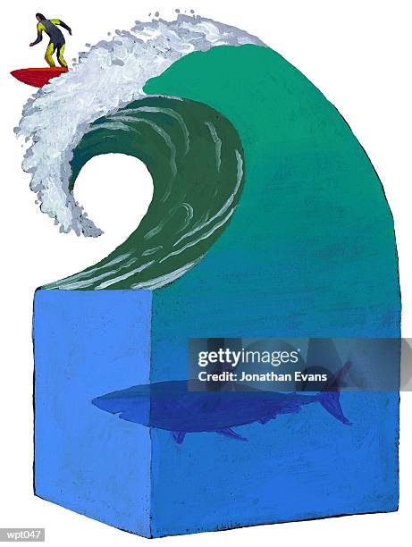 surfing in shark-infested waters - evans stock illustrations