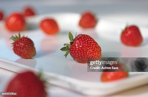 strawberries in tray in a row - a von stock-fotos und bilder