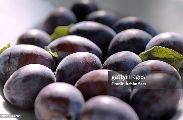 plums, close up - tony curtis in person at the film forum to present screenings of sweet smell stockfoto's en -beelden