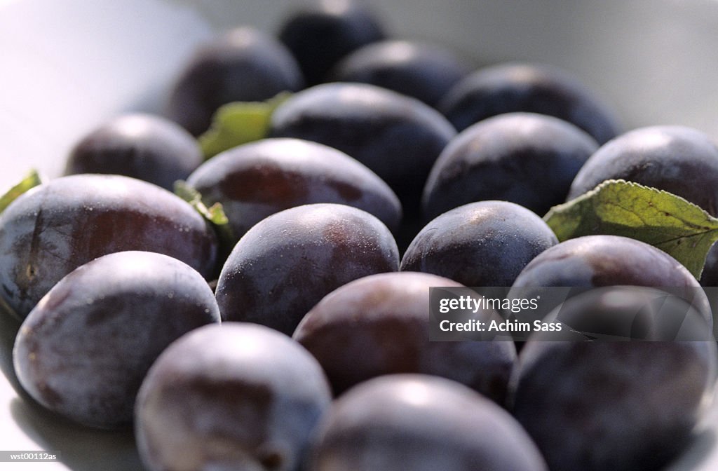 Plums, close up