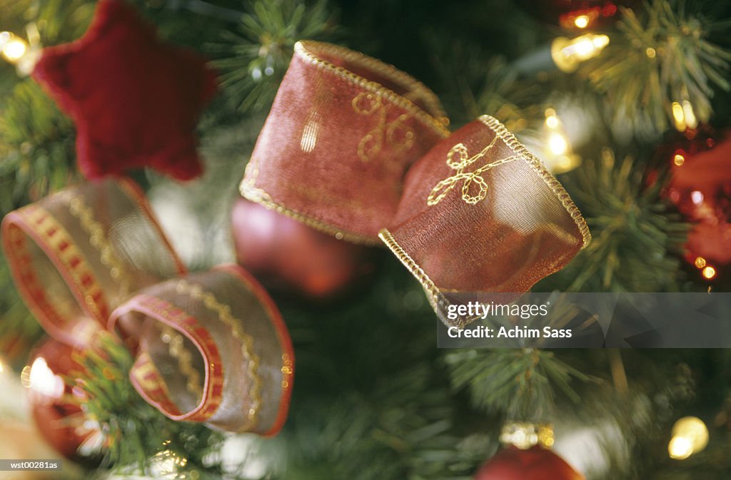 Decorative ribbon tied on Christmas tree