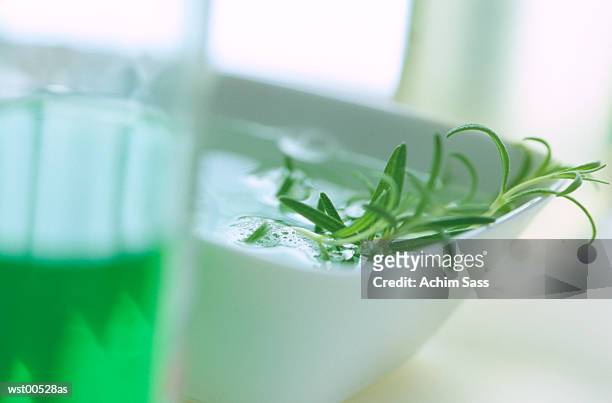 herb soaked in shampoo, close up - plant attribute stock pictures, royalty-free photos & images