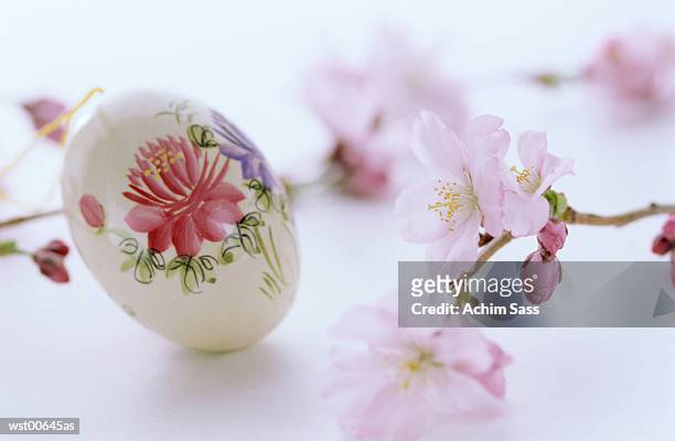 floral painting on egg, easter tradition, close up - pflanzliches entwicklungsstadium stock-fotos und bilder