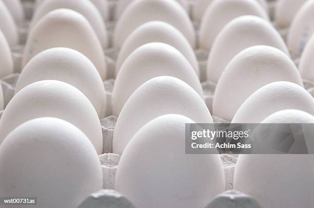 tray of eggs, close up - thousands of british and irish students descend on spanish town for saloufest stockfoto's en -beelden