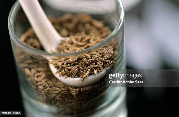 cumin seeds in jar - plant stage stock pictures, royalty-free photos & images