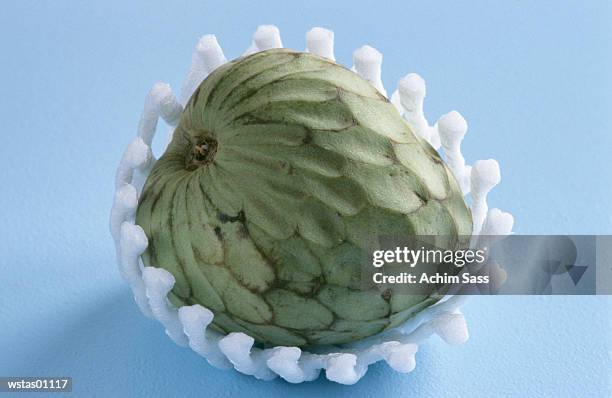 custard apple - magnoliids stock pictures, royalty-free photos & images