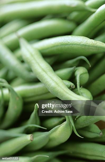green beans, close-up - magnoliopsida bildbanksfoton och bilder