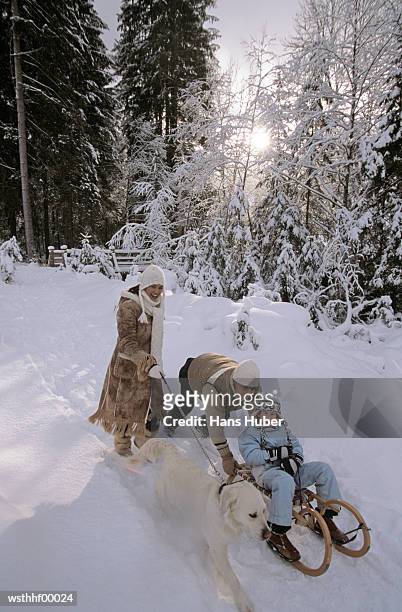 family out in snow - mamífero de quatro patas imagens e fotografias de stock