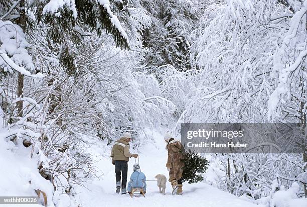 family walking in snow, rear view - mamífero de quatro patas - fotografias e filmes do acervo