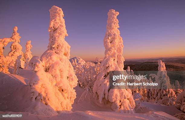 germany, bavarian forest, large arber - watervorm stockfoto's en -beelden