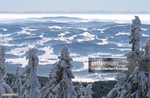germany, bavarian forest, dreisessel - wasserform stock-fotos und bilder