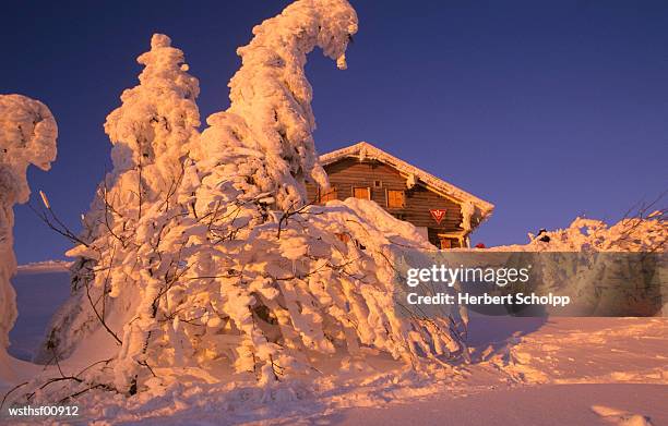 germany, bavarian forest, arbermandl cottage at the large arber - thousands of seized guns are melted at the los angeles county sheriffs office annual gun melt stockfoto's en -beelden