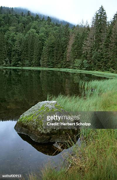 germany, bavarian forest, rachelsee - volcano or lava flow or salt terrace or forces of nature or forest or ocean or waves o stock pictures, royalty-free photos & images