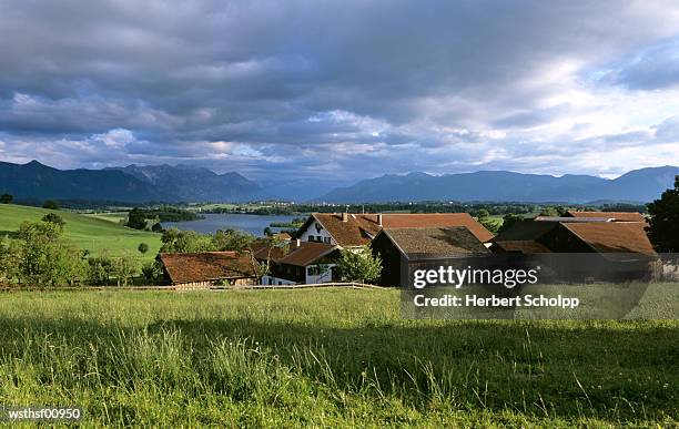 germany, bavaria, murnau, farm at lake riegsee - caractéristiques de la végétation photos et images de collection