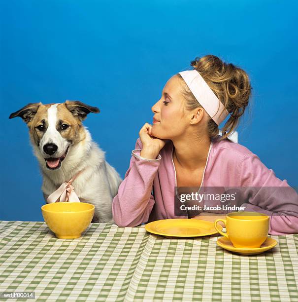 woman watching dog at table - mamífero de quatro patas - fotografias e filmes do acervo