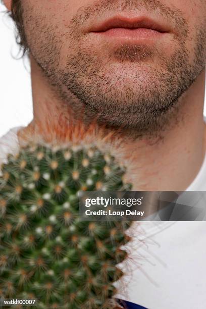 young man holding cactus plant - pflanzeneigenschaften stock-fotos und bilder