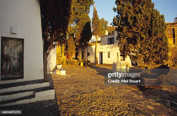 in front of the house and museum casa-museu salvador dali in port lligat, costa brava, catalonia, spain - queen letizia of spain attends the red cross world day stockfoto's en -beelden