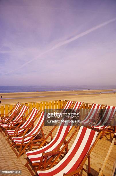 deck chairs in a line on sandy beach, north sea, holland - festival paris cinema opening night and premiere of la venus a la fourrure stockfoto's en -beelden