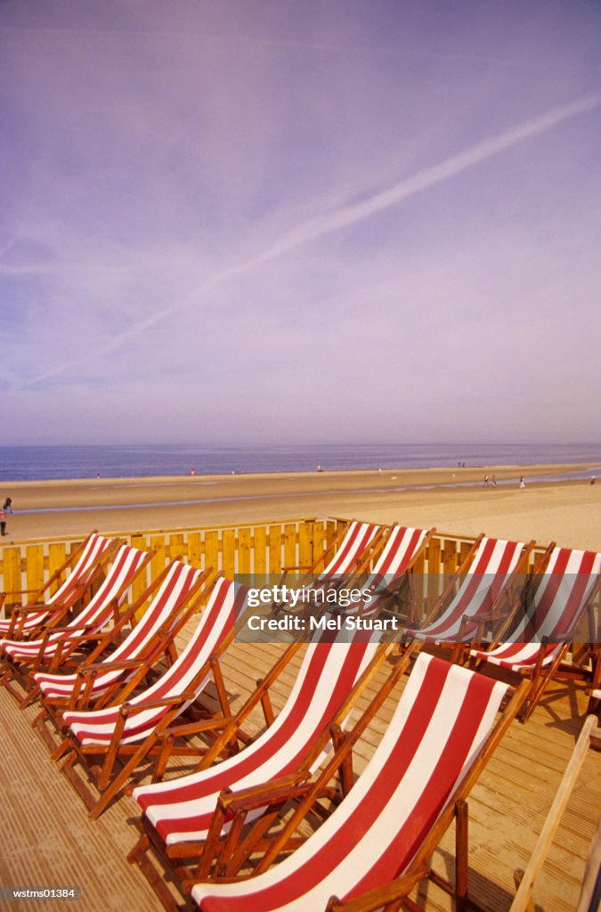 Deck chairs in a line on sandy beach, North Sea, Holland