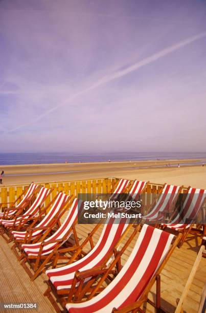 deck chairs in a line on sandy beach, north sea, holland - a of of imagens e fotografias de stock