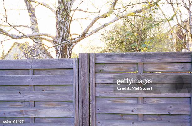 germany, hamburg, garden fence - caractéristiques de la végétation photos et images de collection
