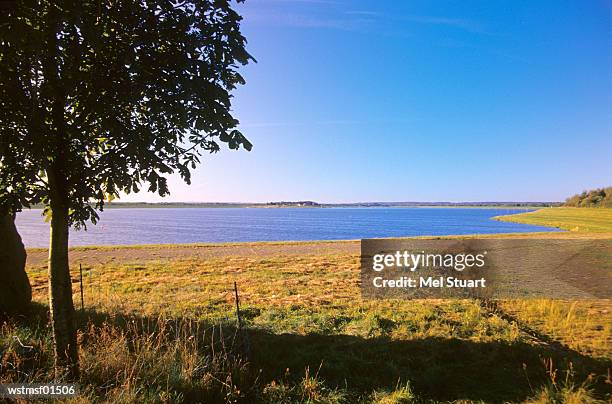 alfsee near bersenbrueck, osnabruecker country, germany - volcano or lava flow or salt terrace or forces of nature or forest or ocean or waves o stock pictures, royalty-free photos & images