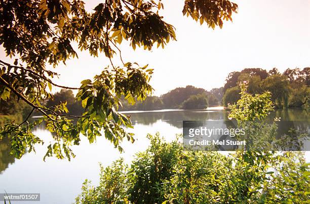 lake near ankum, osnabr?cker country, germany - mel stock pictures, royalty-free photos & images