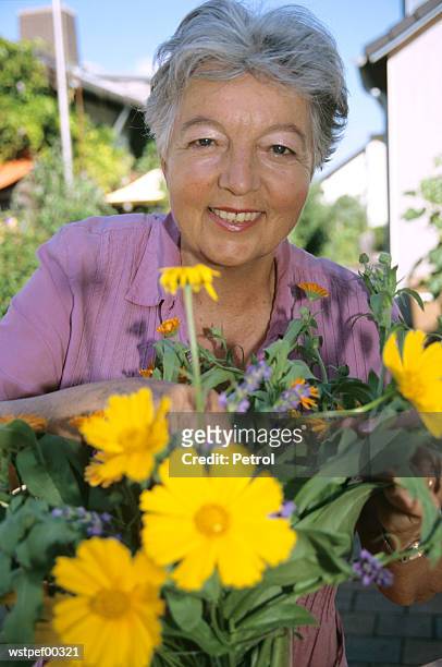 senior woman working in her garden - her stock pictures, royalty-free photos & images