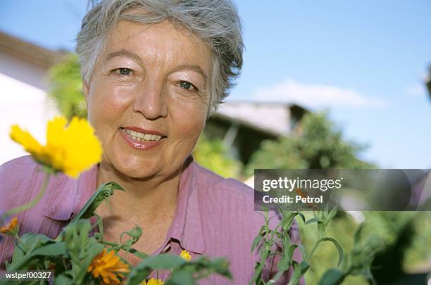 senior woman in front of flowers, low angle view - a of of of stock-fotos und bilder