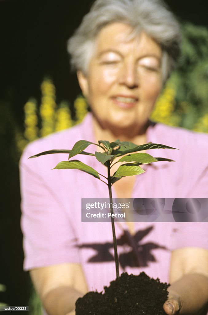 Senior woman planting, focus on foreground