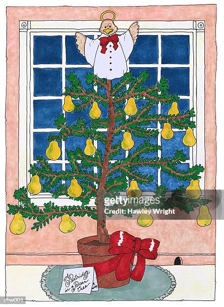 ilustrações, clipart, desenhos animados e ícones de partridge in a pear tree - in cima