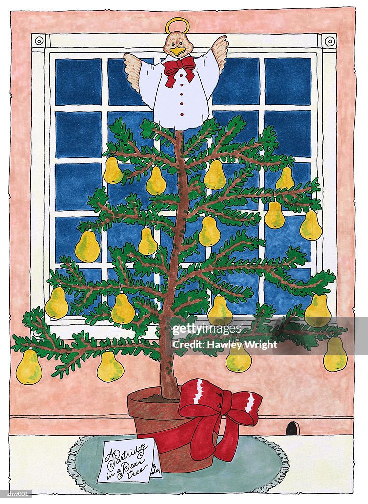 Partridge in a Pear Tree