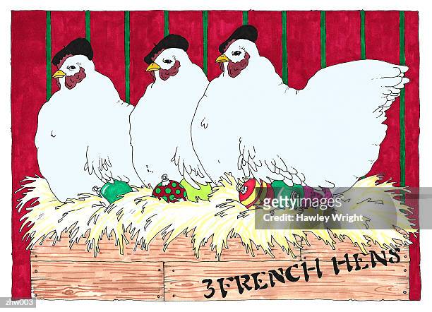 three french hens - nicht städtisches motiv stock-grafiken, -clipart, -cartoons und -symbole