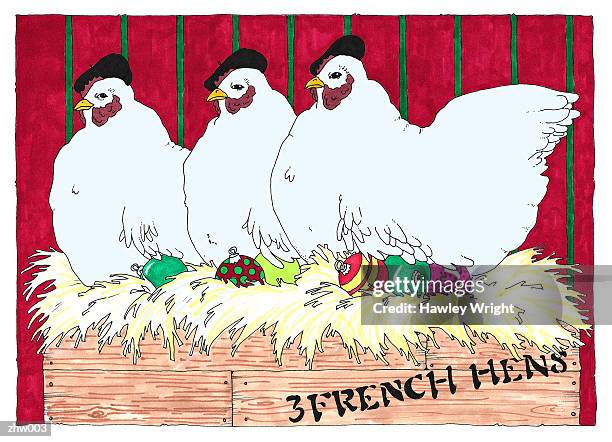 ilustrações, clipart, desenhos animados e ícones de three french hens - grupo pequeno de animais