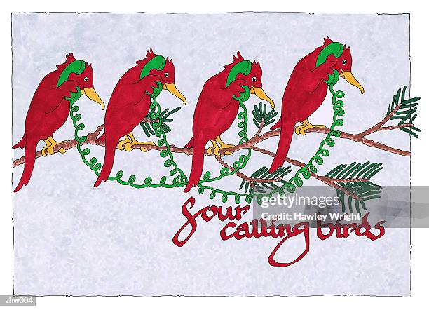 stockillustraties, clipart, cartoons en iconen met four calling birds - kleine groep dieren