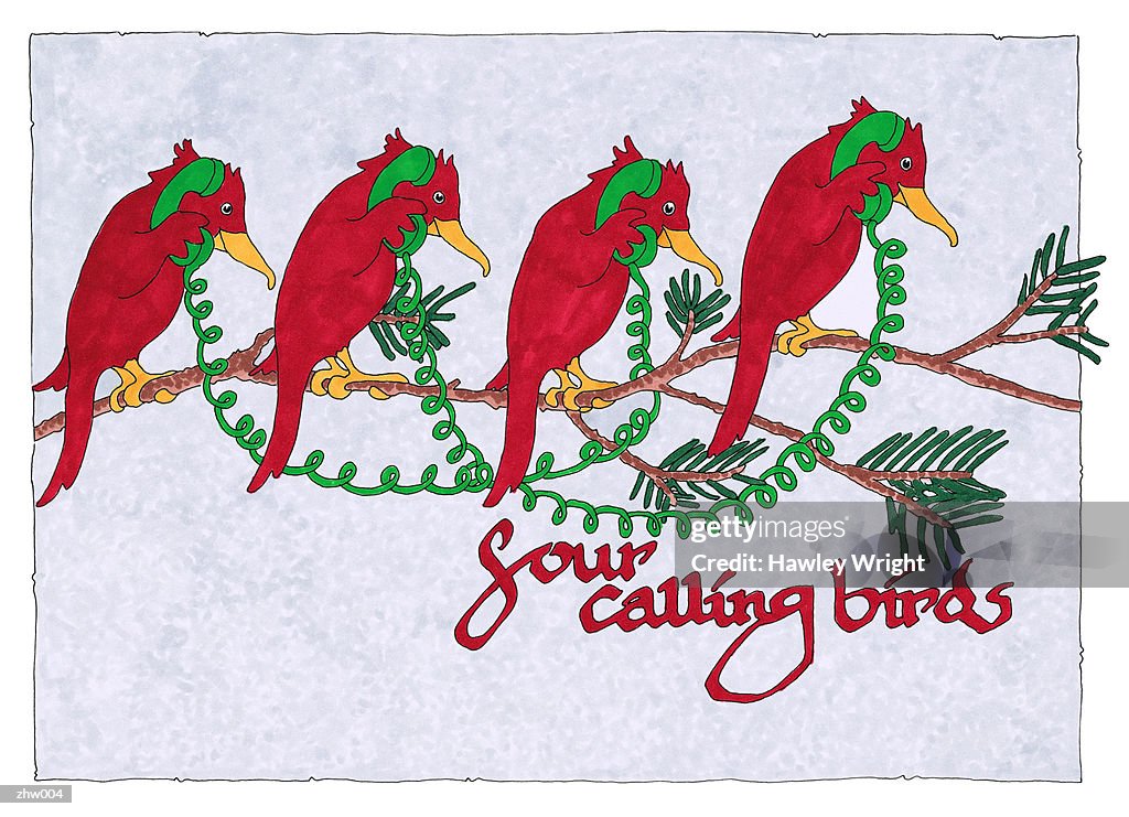 Four Calling Birds
